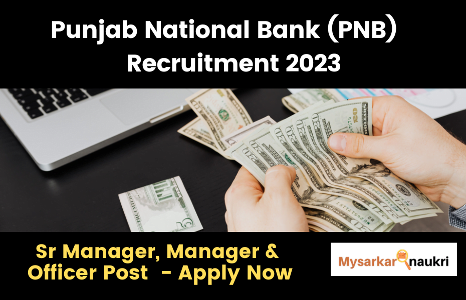 Best PNB Recruitment My Sarkari Naukri