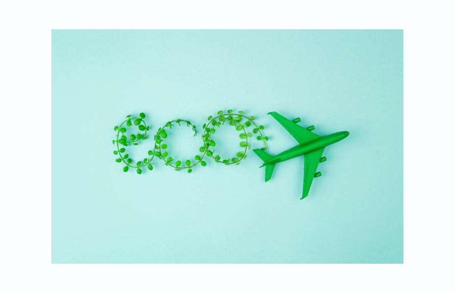 Sustainable Aviation Fuel